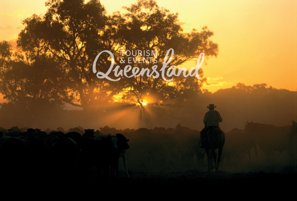 Teach Queensland