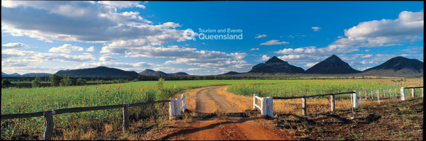 Job search | Employment and jobs | Queensland Government