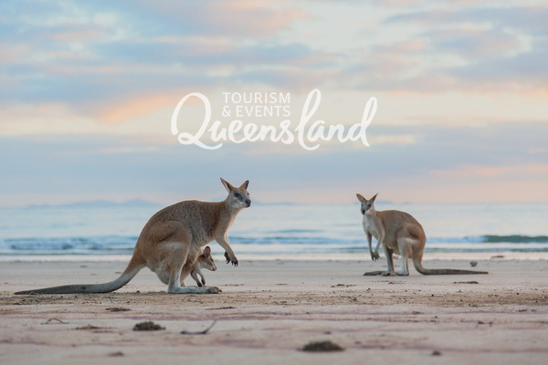 Teach Queensland