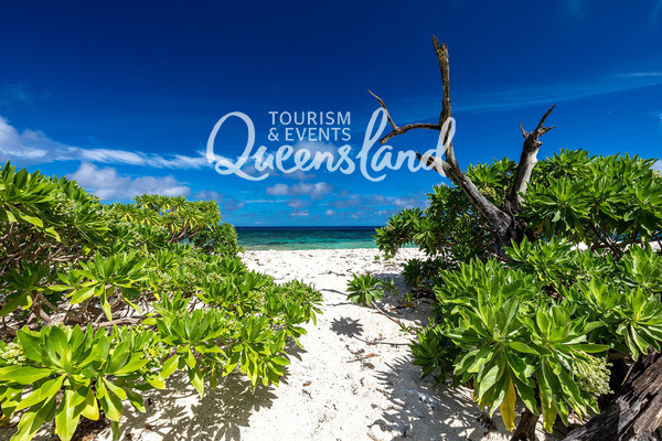 View Esl Teacher Jobs Cairns PNG