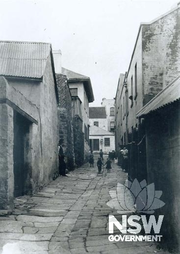 Cribbs Lane through the centre of the site in c1901