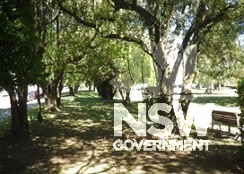 Avenue commemorating the NSW centenary of responsible government