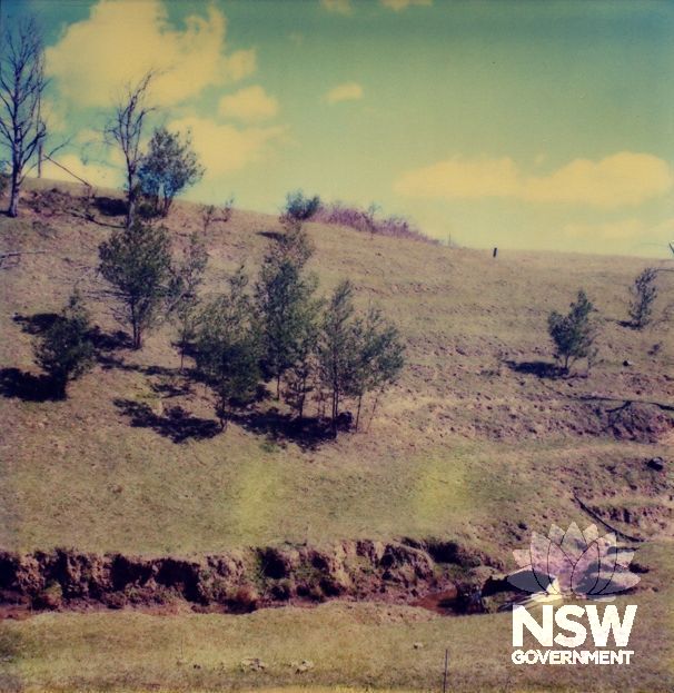 Cox's Cottage curtilage - orchard terracing on Lot 2, photographed in 1985