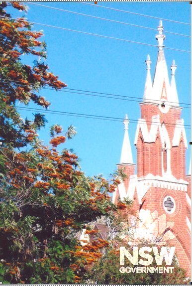 St Andrew's Uniting Church and Silky Oak (Grevillea Robusta)