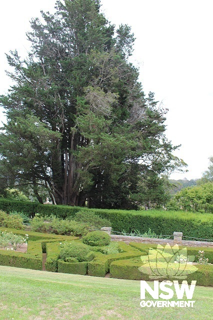 View of the rose parterre
