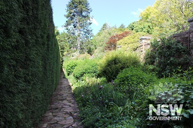 Espaliered garden wall and mixed border