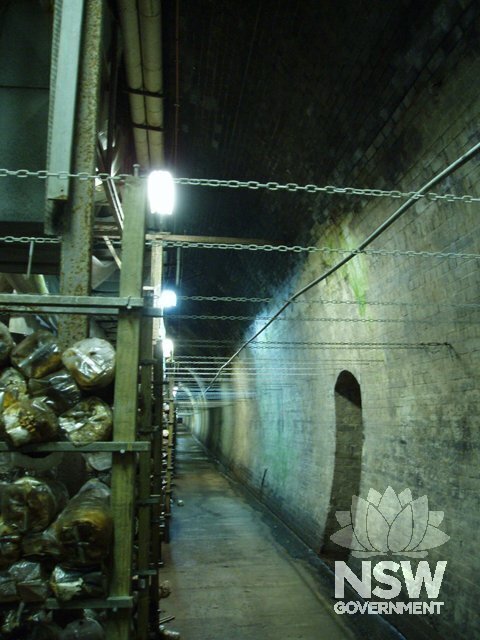 Interior of tunnel showing surfaces. Note the indentation in the wall. These were constructed to provide refuges and regular intervals for tunnel if workmen were caught in the tunnel as a train approahed.