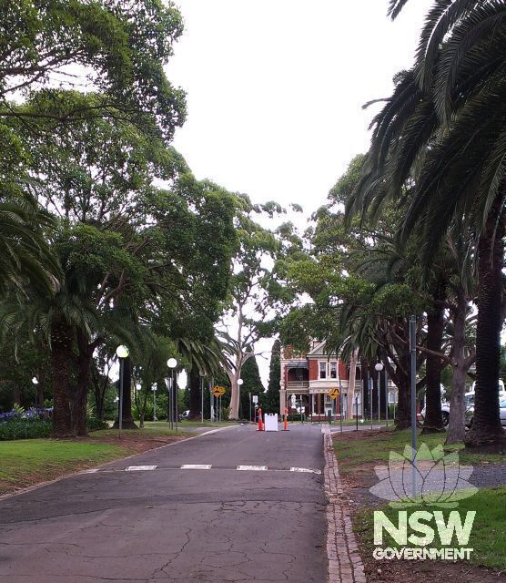 View through an avenue of Canary Palms planted by the Christian Brothers towards the Edmund Rice Building. The early brick guttering remains intact beside this roadway.