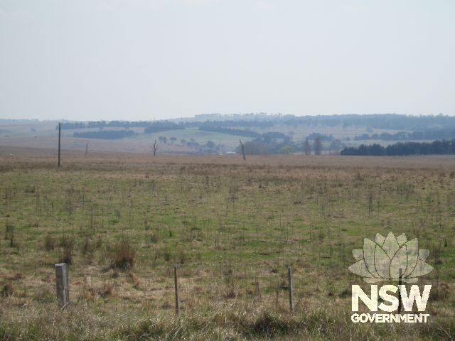 Thunderbolt's Death Site from New England Highway, looking to west