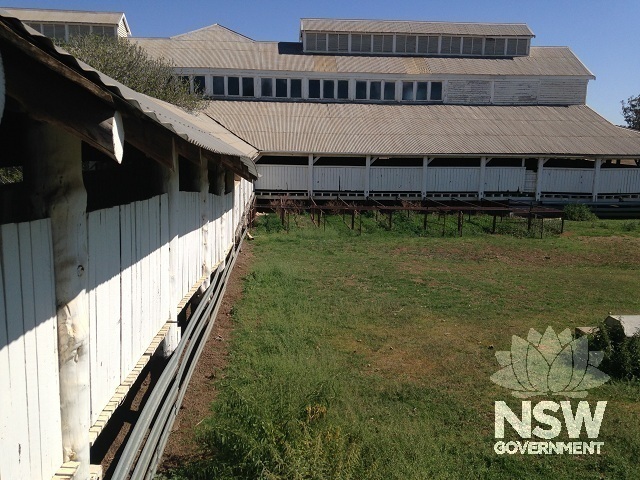 Exterior of the shed viewed from the Sheep Bridge linking the Sweating Pens to the Shearing Board