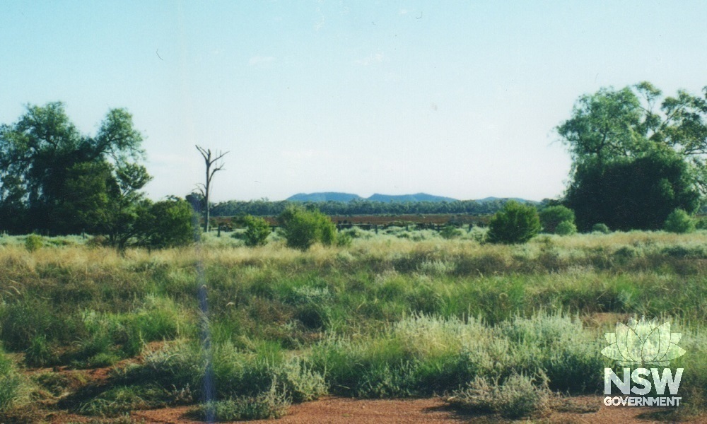 temporary blacksmiths forge made from ships tank at Billagoe Mine