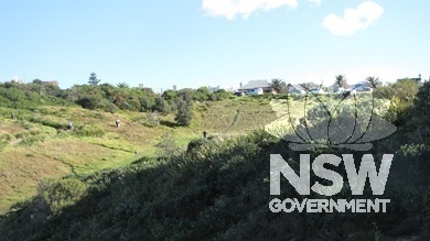 Caption: Newcastle Recreation Reserve, looking west across Themeda Australis grasslands to The Terrace