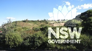 Caption: Newcastle Recreation Reserve, looking south; the Shepherds Hill Military Installations are in the left distance, with the houses of The Terrace in the right distance