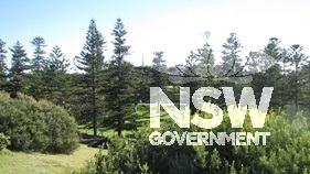 Caption: Newcastle Recreation Reserve, looking north towards The Obelisk
