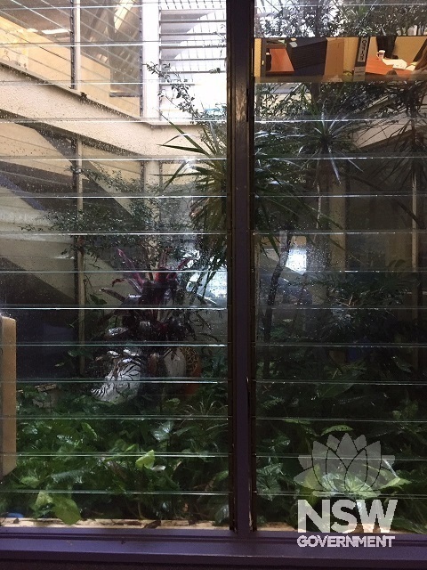 Narrabeen North Public School Administration Binishell atrium