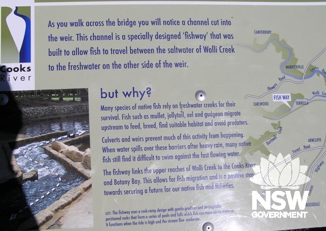 Fish way information on Cantebury side of Creek