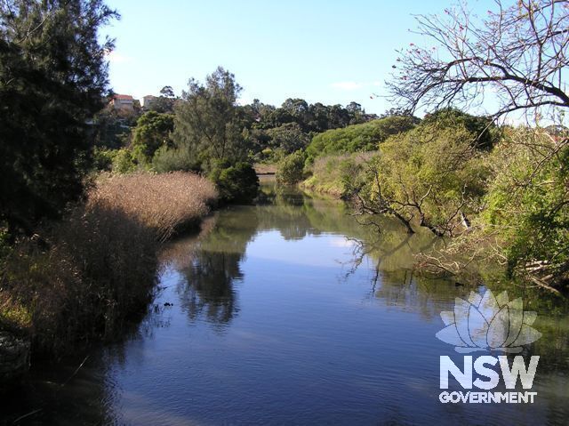 Looking east from footbridge over Wolli Creek at Western end of Henderson Street