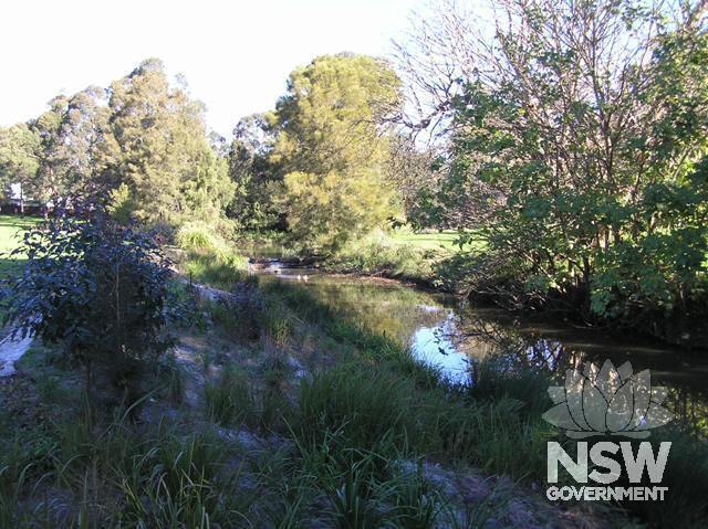 Wolli Creek from Coolibah Reserve at end of Hannam Street