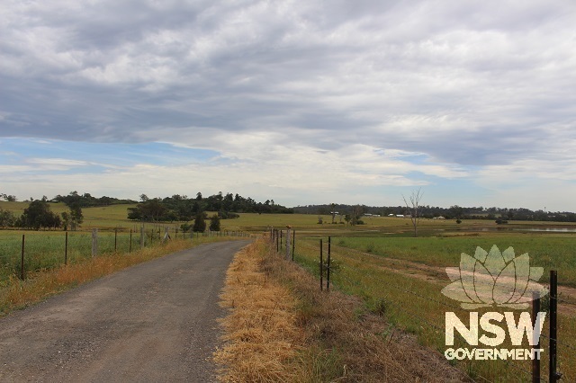 Maryland southern drive entrance off Northern Road. View to homestead knoll (centre), southern ridge (left), and dairy precinct (right)