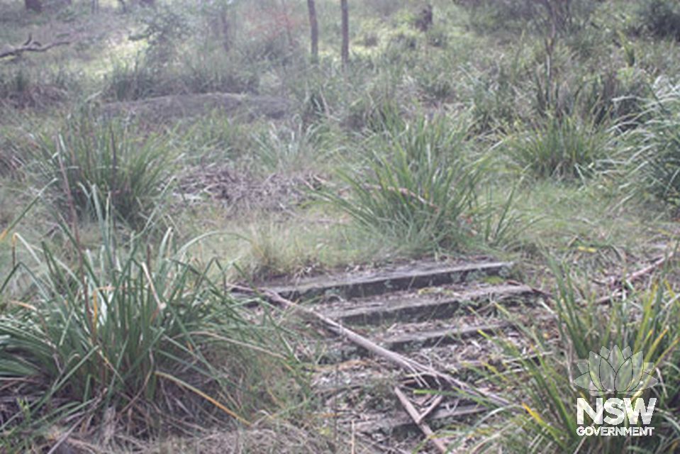 Steps to a hut located on the southern side of the Wingecarribee River