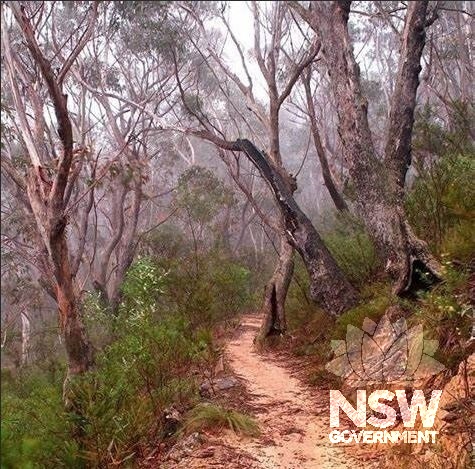 Along Bernhoffers Pass