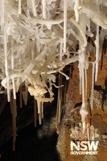 Cave formations - helictites