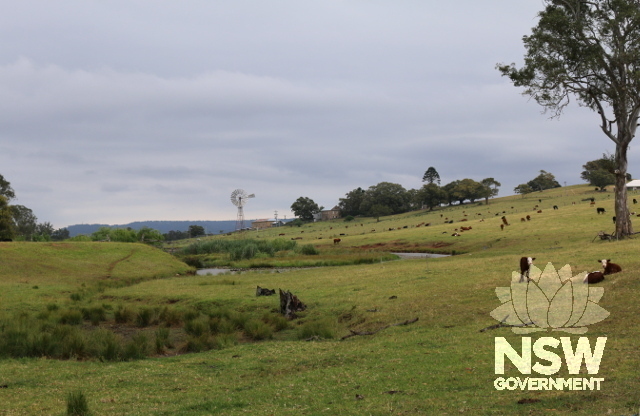 View of artificial lake and homestead precinct.