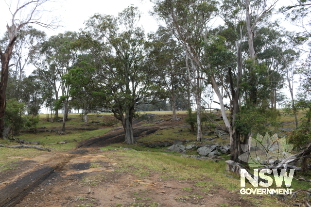 The gully along Woodhouse Creek.
