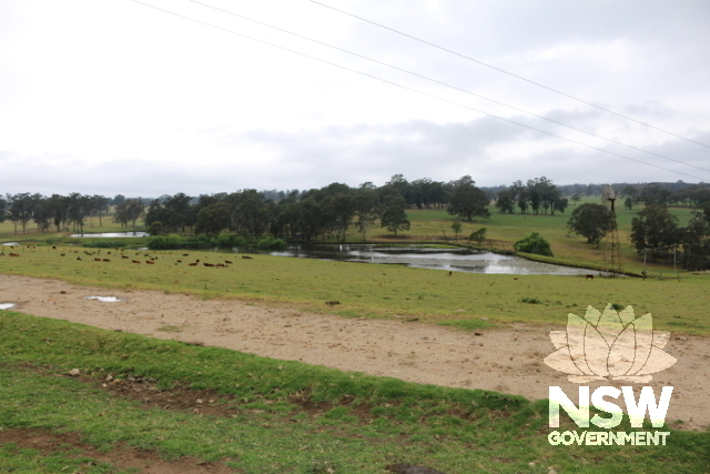 Artificial lake and vegetation beyond.