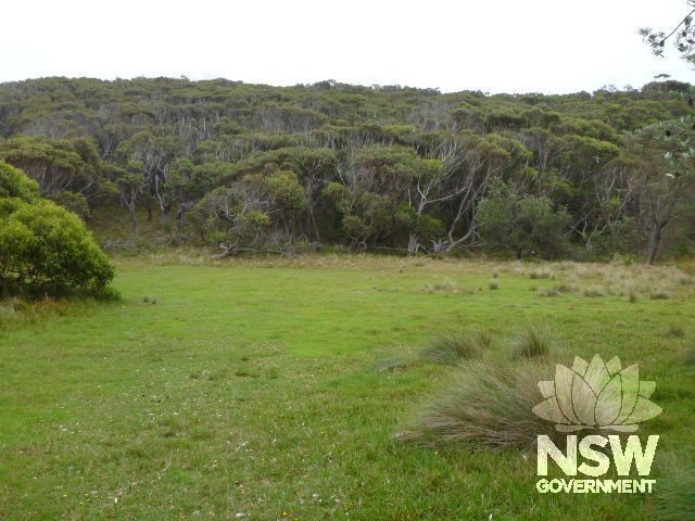 Former camping area at Penders