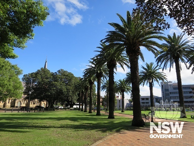 North-west transcept - Row of 1918 Canary Island Palms  - looking towards St Patrick's Cathedral