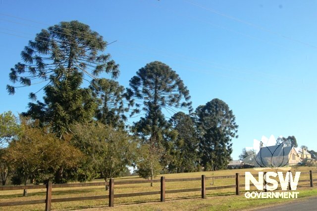 View over Wilberforce Park from Church Road, looking north west to bunyas, St John's Anglican Church and the Macquarie schoolhouse/church