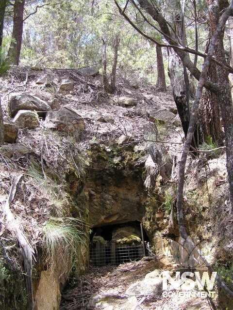 Trench and entrance to mined explosives tunnel (under Old Armidale-Ebor Road).