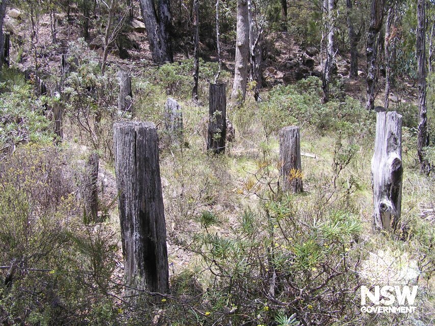 Wooden post barrier