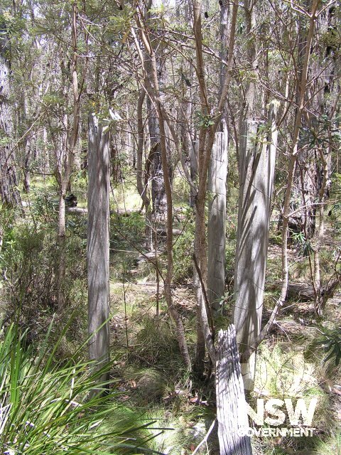 Remnants of 'quarters' and huts