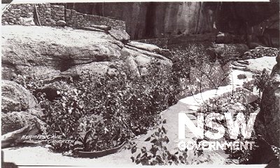 The terraced gardens and retaining walls c. 1930s.