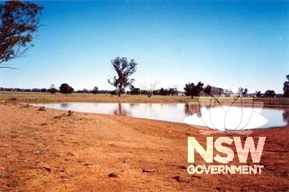 Mayfield Chinese Dam