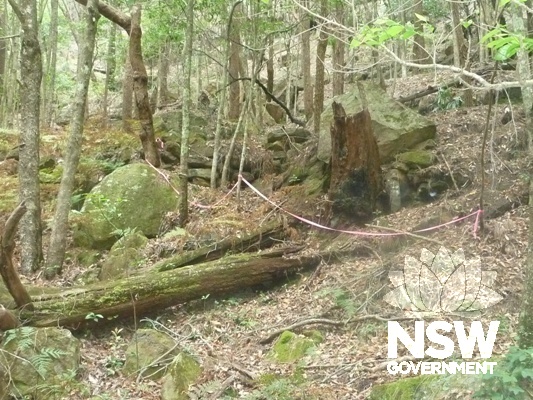 Crosslands Reserve
