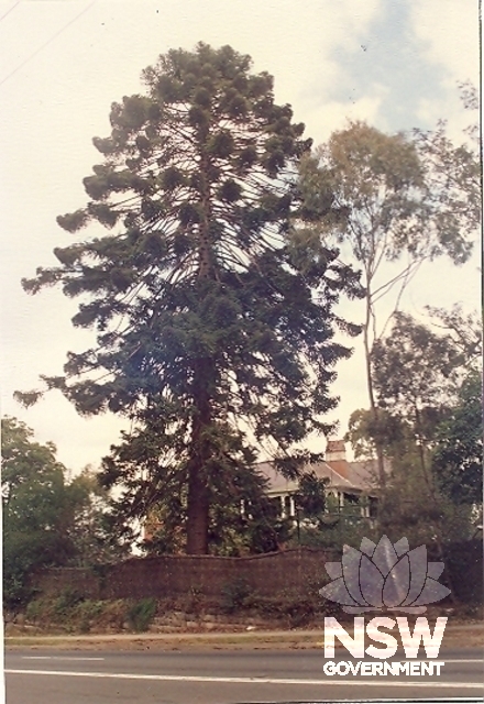 Blackwood House - Garden