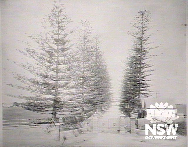 Circa 1870 photograph showing gatehouse to right of drive to Annandale House. State Library of NSW Frame Order No GPO 1 - 10336, Government Printing Office photographs 1870-1988.