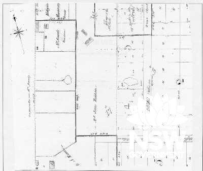 Historic Map - Newington College, c.1842: Jones, Munce's, & Attwood's Farms. (Stanmore - sp s14/57)