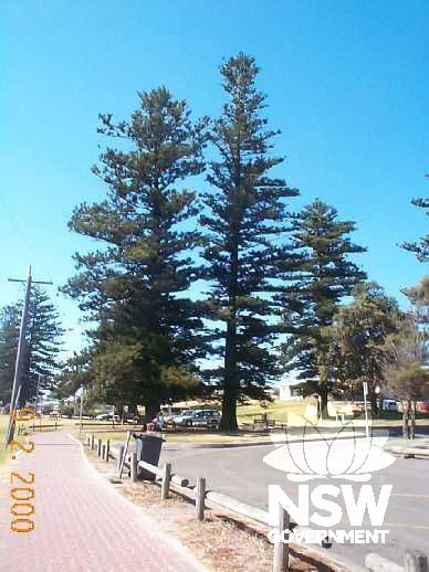 Little Park.