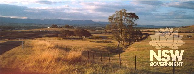 Illawarra Escarpment from Mount Terry.