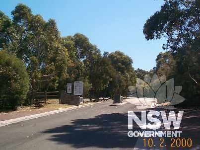 Blackbutt Forest Reserve.
