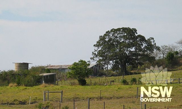 Swansea Dairy.