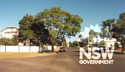 Junction St Heritage Conservation Streetscape - Jacaranda trees & adjoining gardens