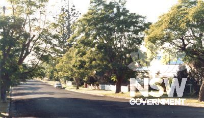 Junction St Heritage Conservation Streetscape  - Jacaranda trees & adjoining gardens