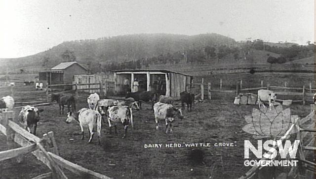 Wattlegrove Farm c.1920.  Historic photograph.