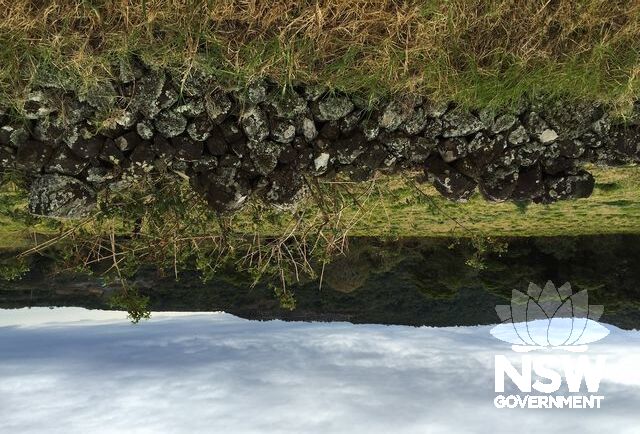 Rocklow Road Dry Stone Wall 2015.