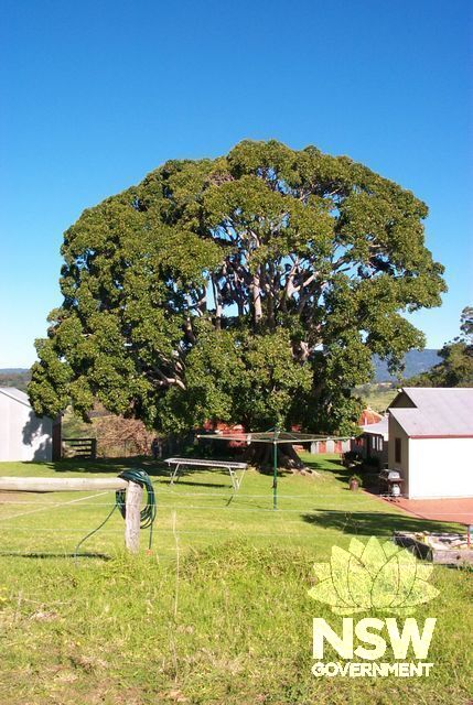 Former Russell Farm.